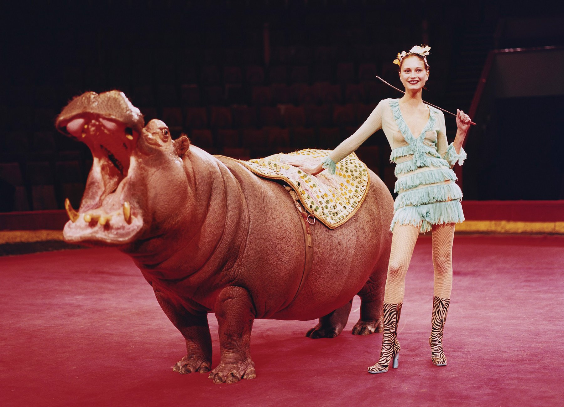 Bild von einem Nashorn  und einer Frau in Show-Kleidung in einer Manege