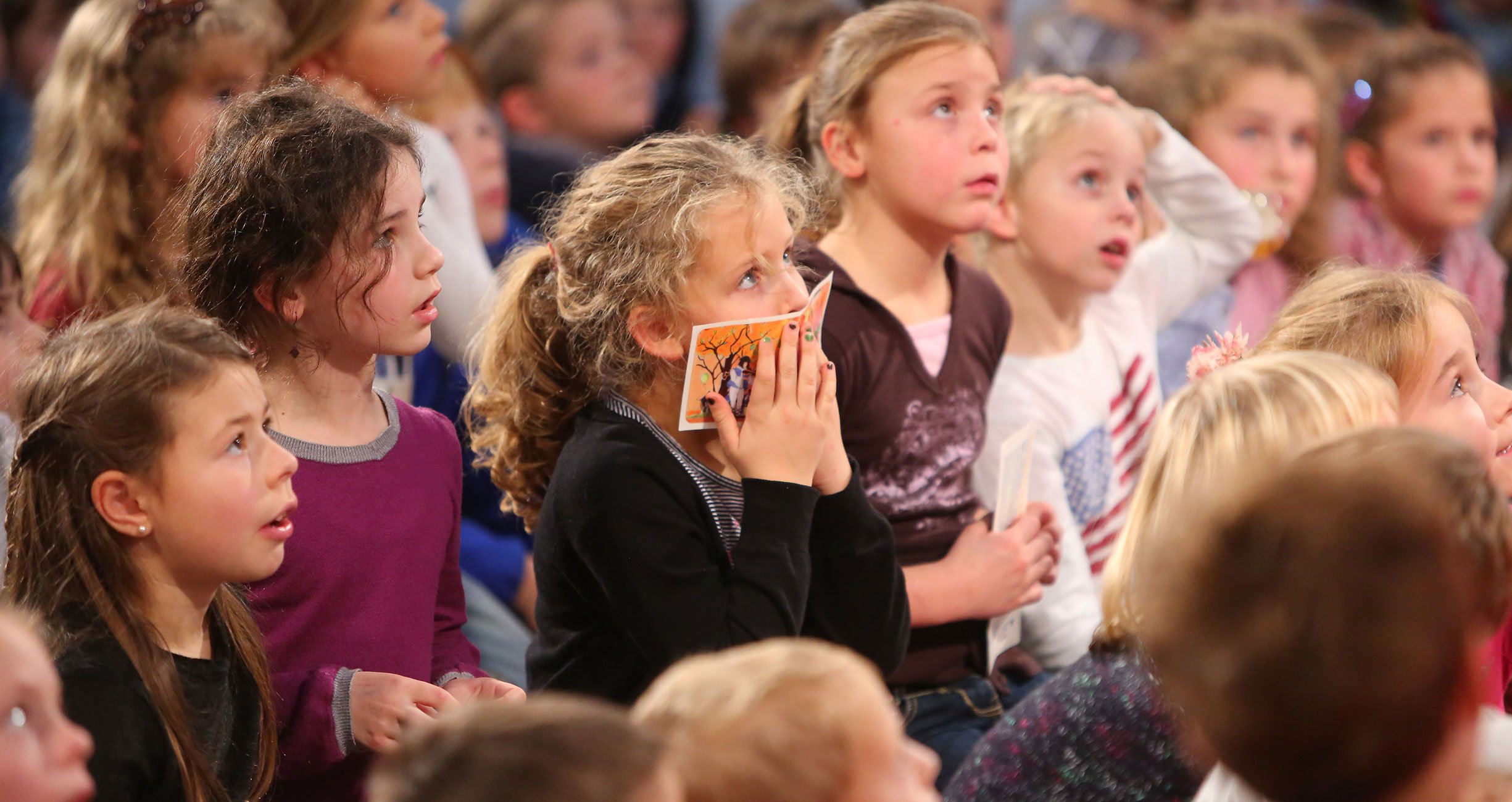 mini.musik Kinderkonzert-Reihe 2025